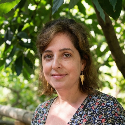 מעין אורה גרבר
