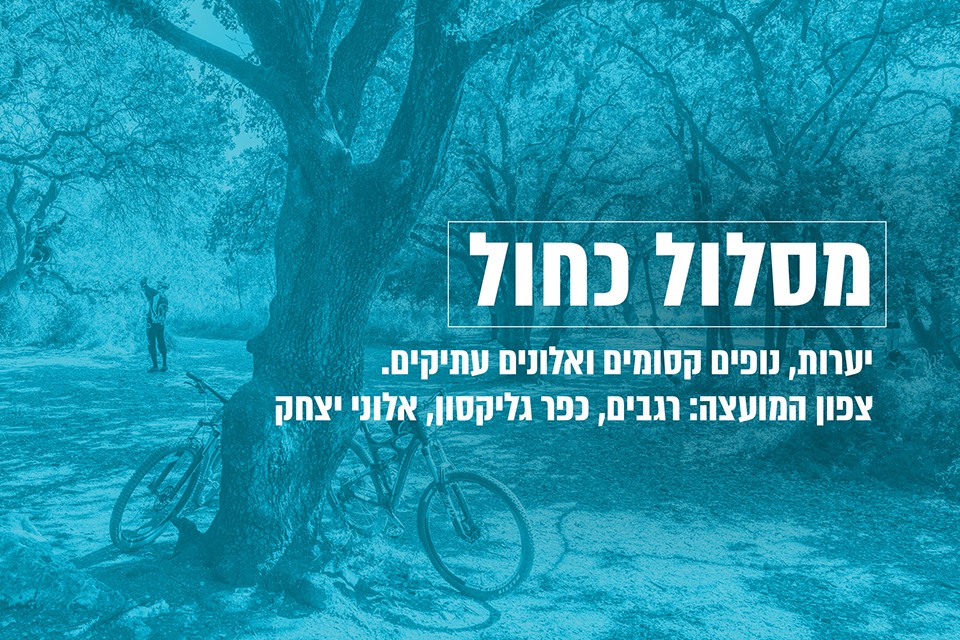 מסלול כחול - יערות נופים סומים ואלונים עתיקים. צפון המועצה: רגבים, כפר גליקסון, אלוני יצחק