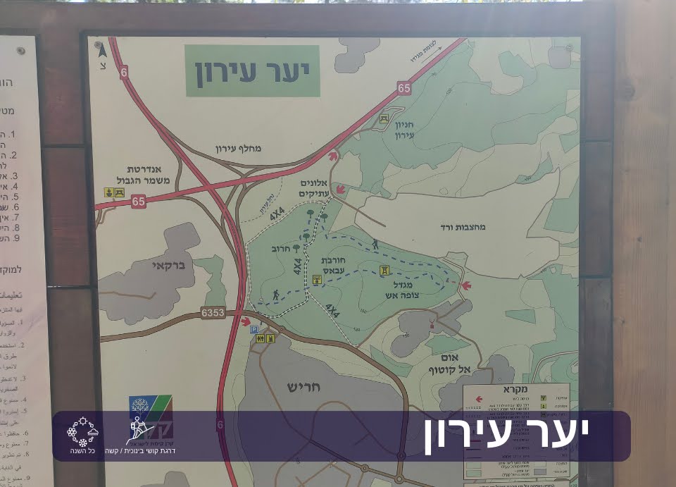 יער עירון