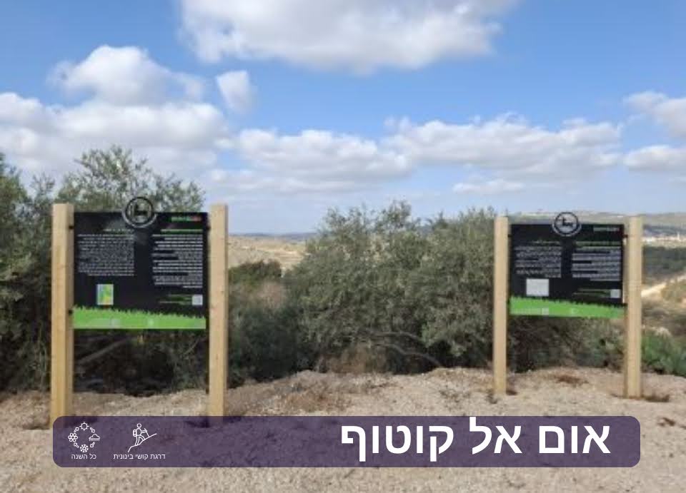 אום אל קוטוף