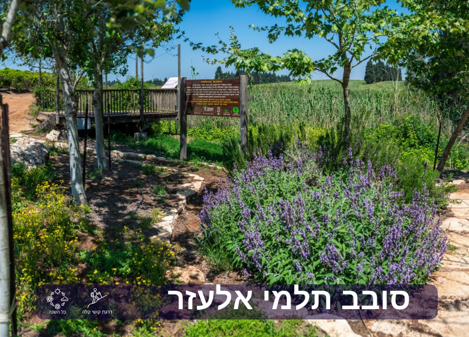 סובב תלמי אלעזר