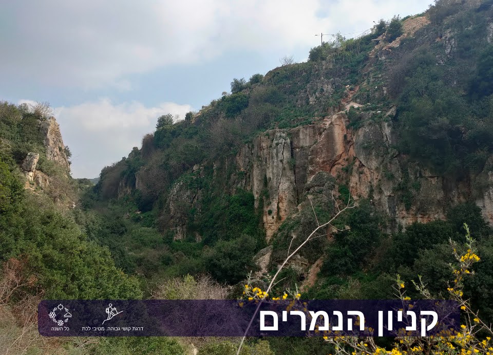 קניון הנמרים