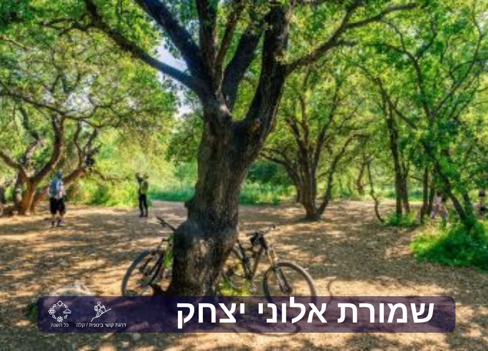 שמורת אלוני יצחק