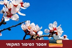 מספר מקומי בישובים