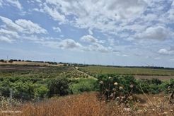 שביל באמצע טיול חוויות בחבל מנשה