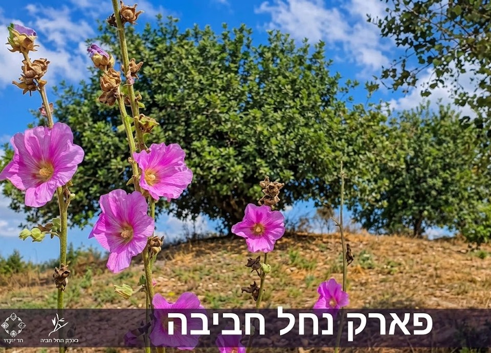 פארק נחל חביבה