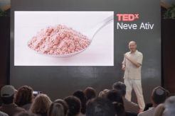 Why Locusts Are the Solution to Future Food Challenges_Dror Tamir