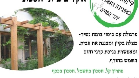 פרוגלה.jpg
