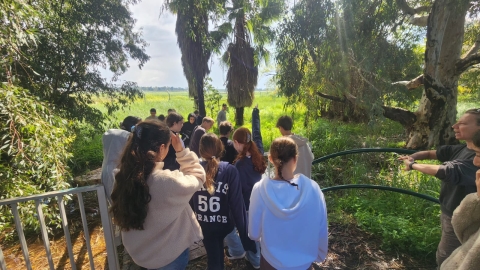 תמונה_לאתר_6.jpeg