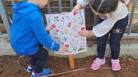 זריעת פרחי בר (7).jpg