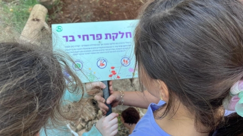זריעת פרחי בר (11).jpg