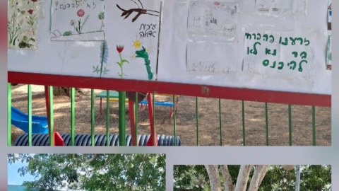 זריעת פרחי בר (14).jpg