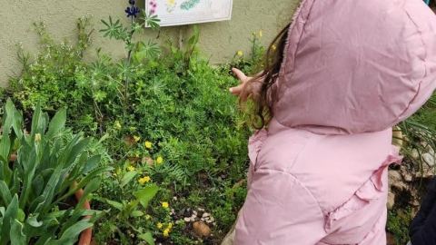 זריעת פרחי בר (23).jpg